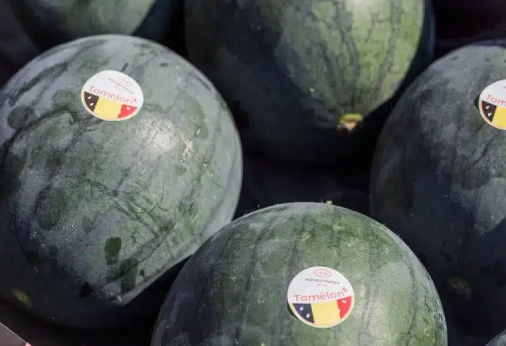 Composteerbare labels